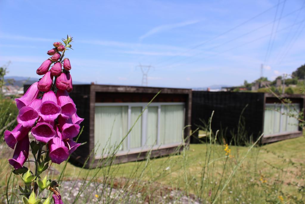 Encosta do Paraíso - Apartamentos Turísticos Guimarães Exterior foto